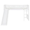 Loft Bed With Slide And Ladder by HouseOfZazla