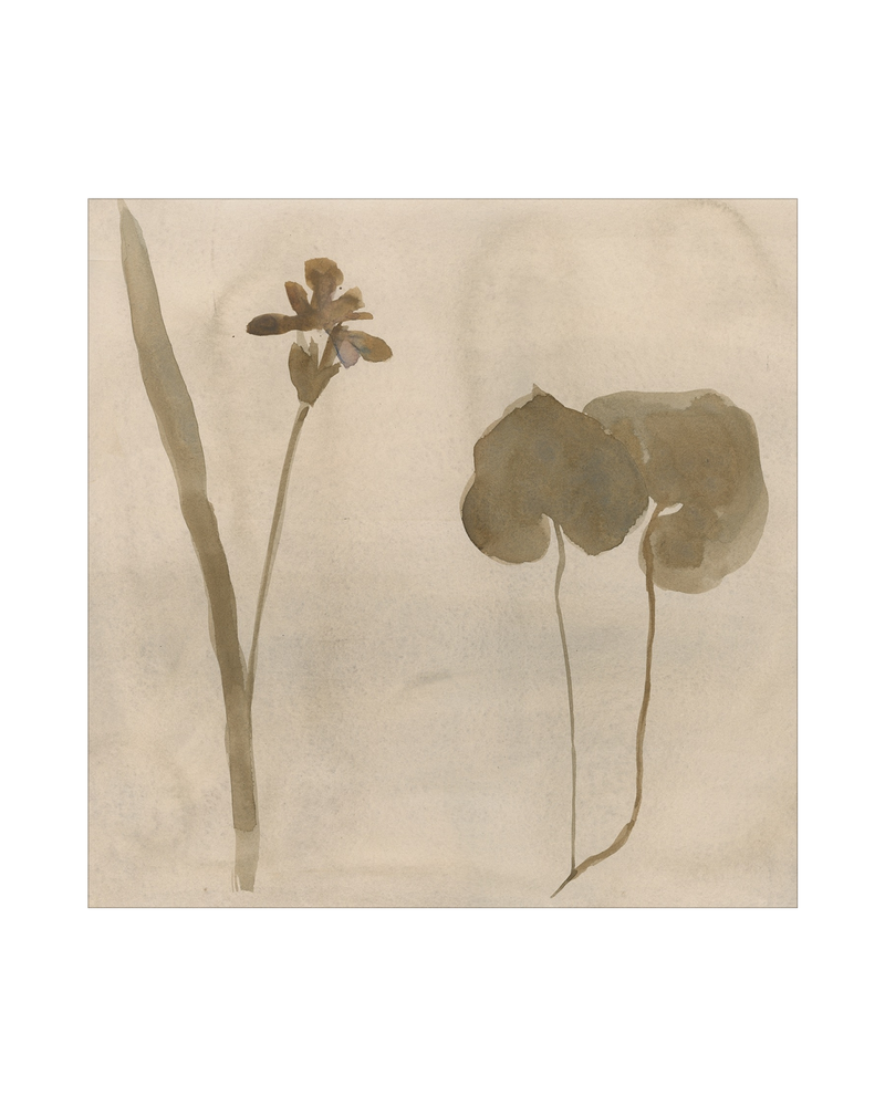 Botanical Thoughts II