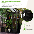TOPMAX 78-inch Wooden Greenhouse Cold Frame with 4 Independent Skylights and 2 Folding Middle Shelves by HouseOfZazla