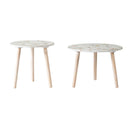Nature-Inspired Side Tables (Set of 2) by HouseOfZazla
