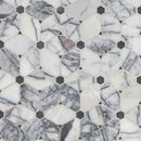 MSI Cecily Lilac Polished Tile