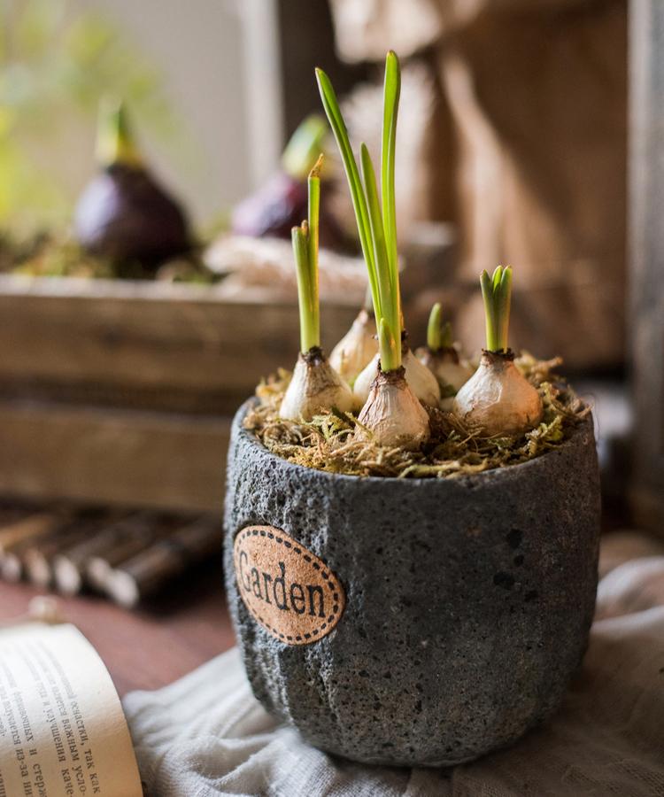 Cement Stone Tiny Garden Planter, photo 5 of 10