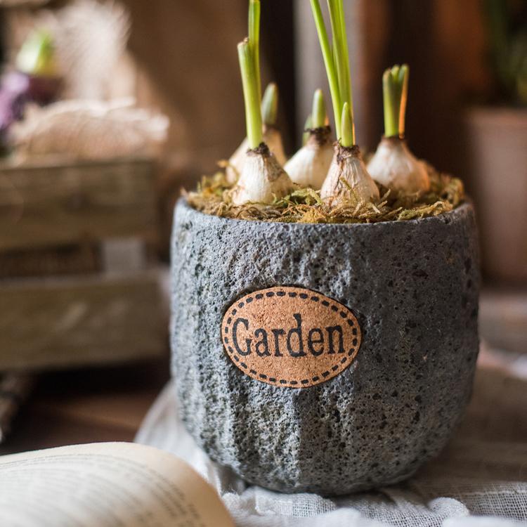 Cement Stone Tiny Garden Planter