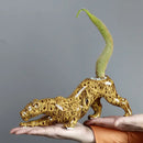 GobekUsa Ceramic Animal Flowerpot: Leopard Cheetah Cartoon Characters for Garden Plants