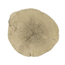 Gene Fiber Concrete Accent Table - Brown by HouseOfZazla