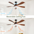 Ceiling Fan & DC Motor And Integrated Light by Unique Piece Furniture