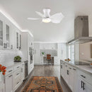 Low Profile Flush Mount Ceiling Fan With Light by HouseOfZazla
