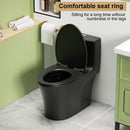 1 Piece Toilet With Dual Flush And Soft Closing Seat by HouseOfZazla