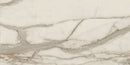 Charme Calacatta Gold Marble Look Porcelain Tiles 24x48