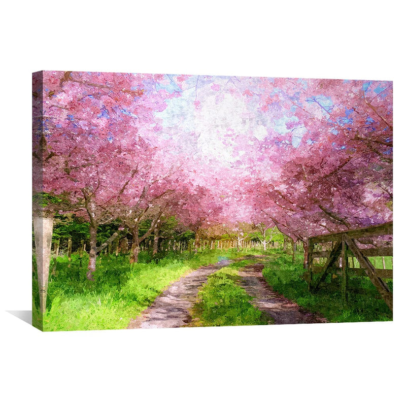 Cherry Blossom Canvas