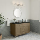 James Martin Chicago 48" Single Bathroom Vanity, Walnut Whisper