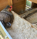 Hemp Chicken Horse Animal Bedding Litter  - Organic USA Grown