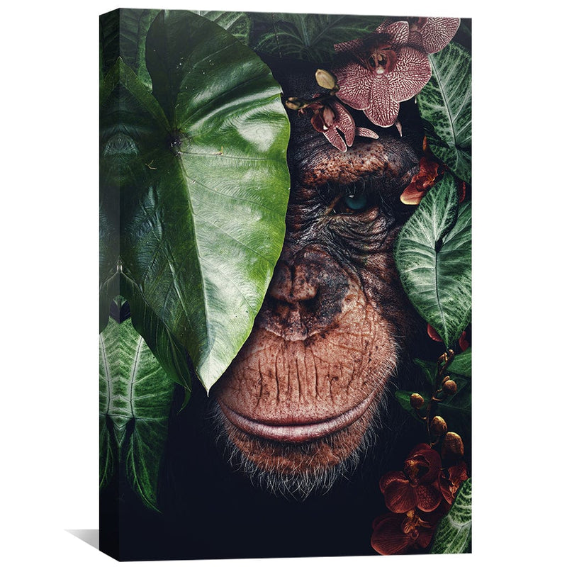 Chimpanzee Canvas