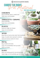 2.5'' Terracotta Pot