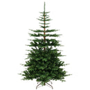 7 Feet Hinged Artificial Pre-lit Christmas Tree with 1303 Branch Tips by DirectDeals
