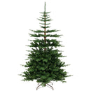 7 Feet Hinged Artificial Pre-lit Christmas Tree with 1303 Branch Tips by LJGDeals