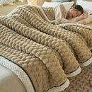 GobekUsa Double-Layer Coral Fleece Blanket: Super Soft Queen King Quilt for Winter