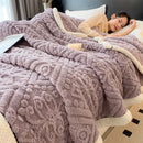 GobekUsa Double-Layer Coral Fleece Blanket: Super Soft Queen King Quilt for Winter