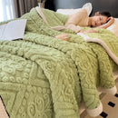 GobekUsa Double-Layer Coral Fleece Blanket: Super Soft Queen King Quilt for Winter