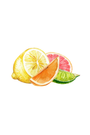 Lemon, Orange, Grapefruit & Lime Essential Oil Blend by Rustic Strength