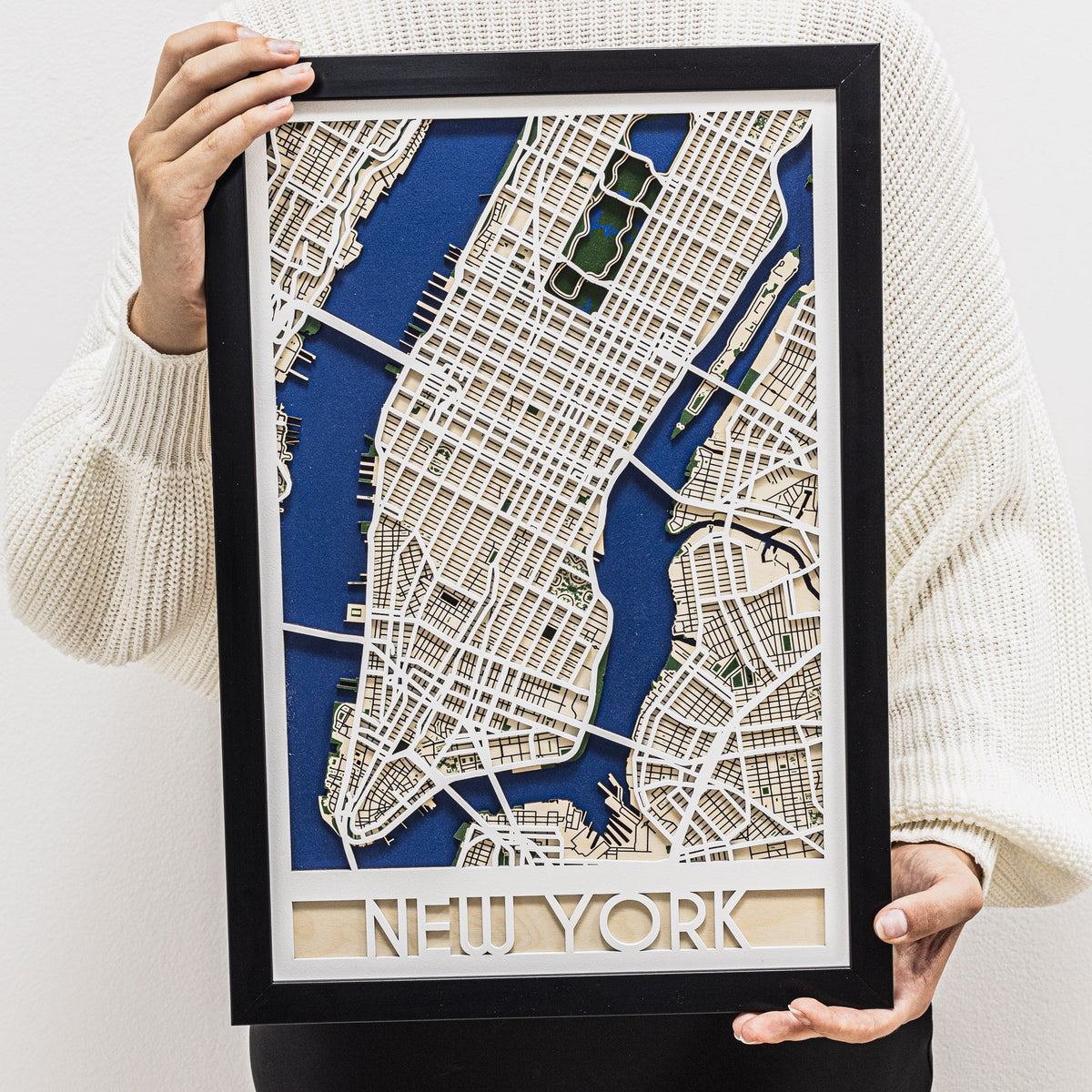 3D City Map New York, photo 10 of 14
