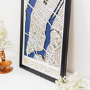 3D City Map New York