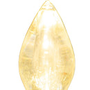 Clear LED Light Bulbs