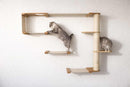 The Climb Condo - Cat Wall Climbing System