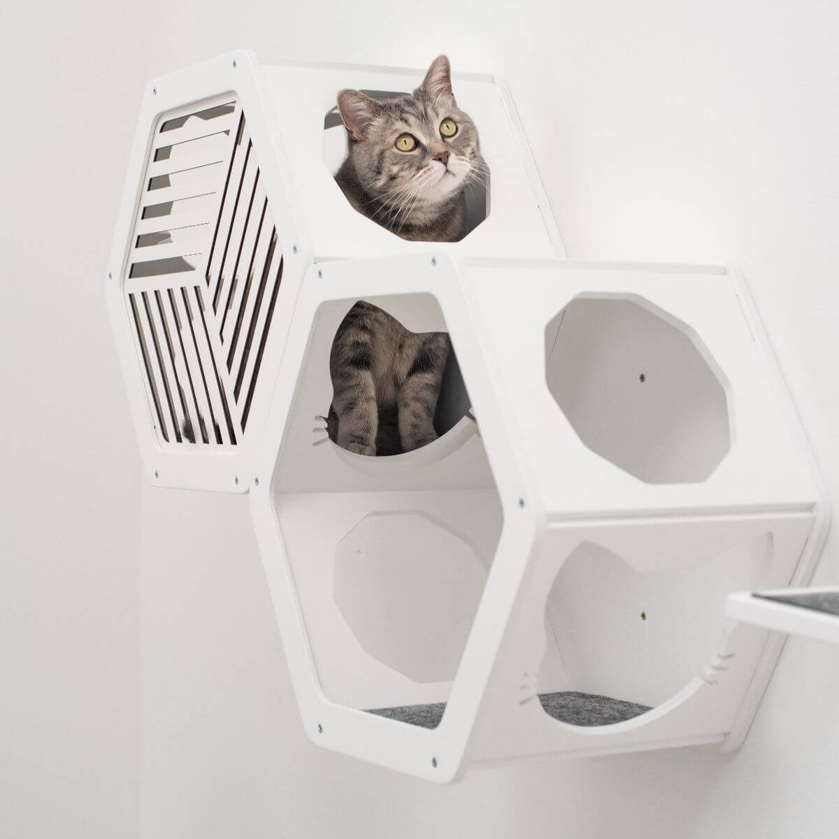 Cat Climbing Wall Shelves White, photo 3 of 5