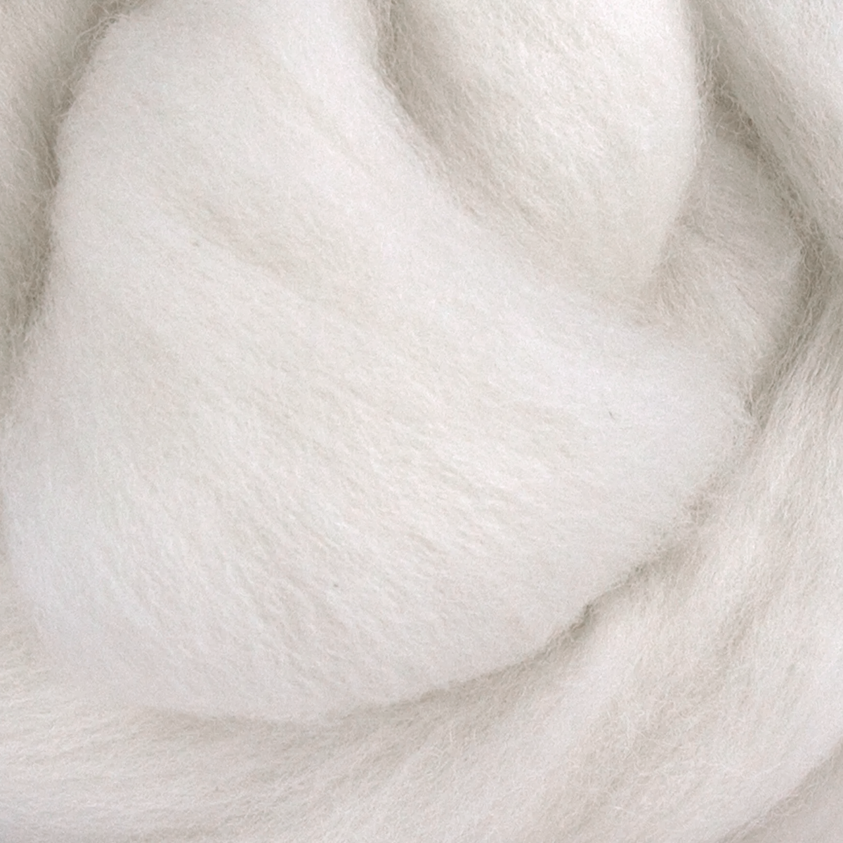 Polwarth Wool Top, close-up of the surface