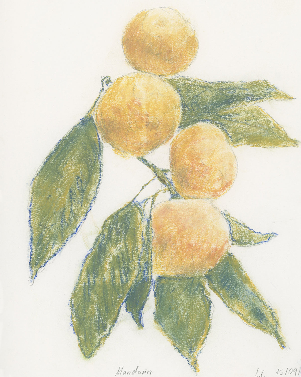 Mandarin, close-up of the surface
