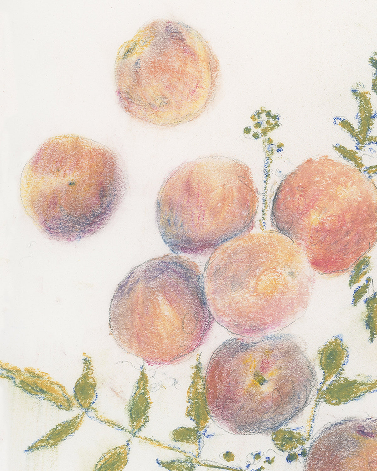 Pastel Peaches, close-up of the surface