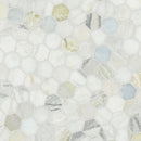 MSI Cloudland 2" Hexagon Polished Tile