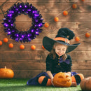 24 Inch Pre-lit Halloween Wreath with 35 Purple LED Lights by LJGDeals