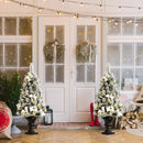4 Feet Pre-lit Snowy Christmas Entrance Tree with White Berries and Flowers by DirectDeals