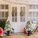 4 Feet Pre-lit Snowy Christmas Entrance Tree with White Berries and Flowers by LJGDeals