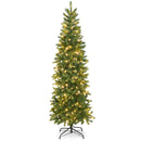 6 Feet Pre-Lit Artificial Christmas Pencil Tree with 648 PVC PE Branch Tips by LJGDeals