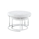 Carlotta Leather Nesting Coffee Table (Set of 2)