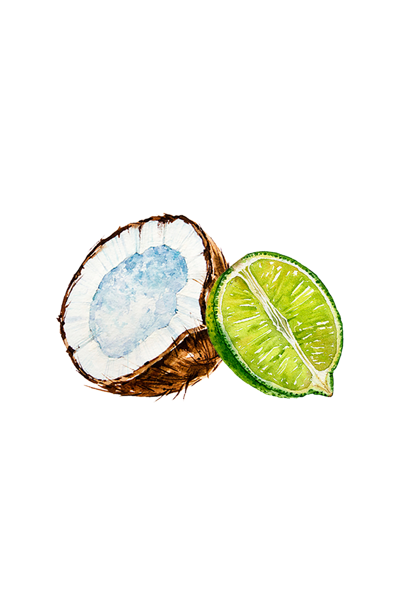 Coconut & Lime EO / FO Blend, photo 2 of 3
