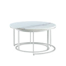 Irene Nesting Coffee Table (Set of 2)