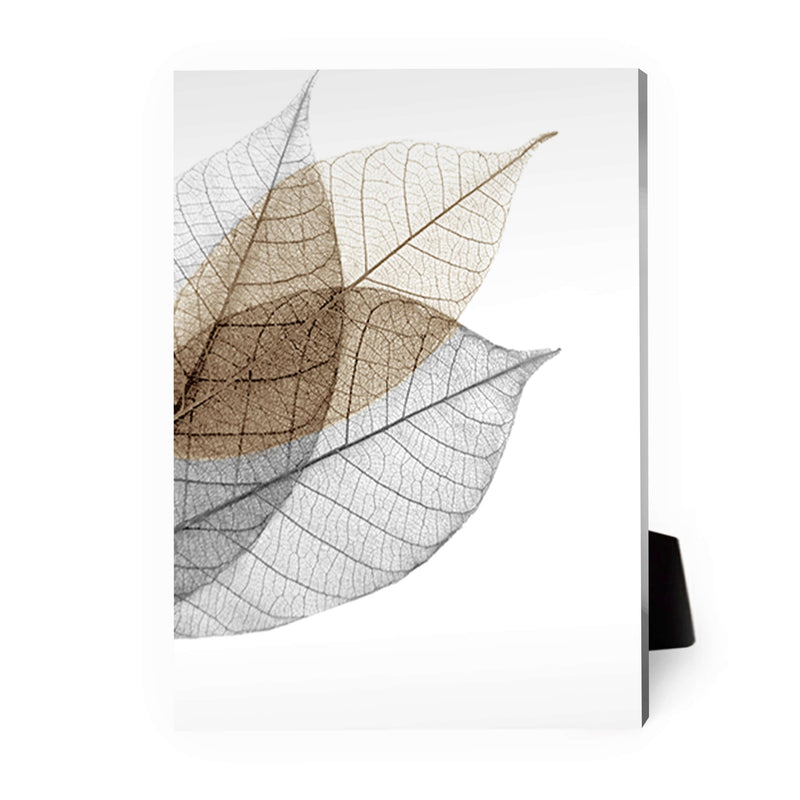 Color Splash Leaf A Desktop Canvas