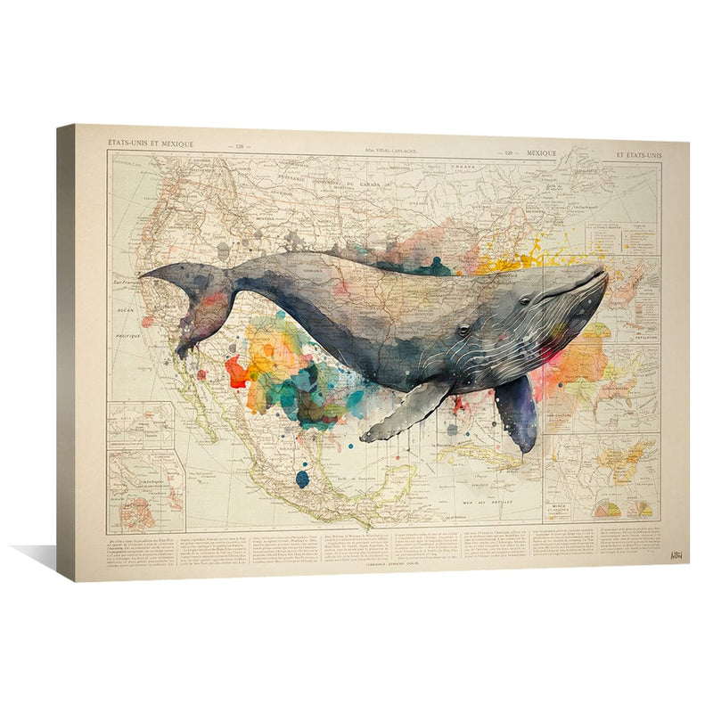 Color Whale Canvas