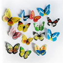 Colorful butterfly flower cake toppers living room wall decals by Decorbites