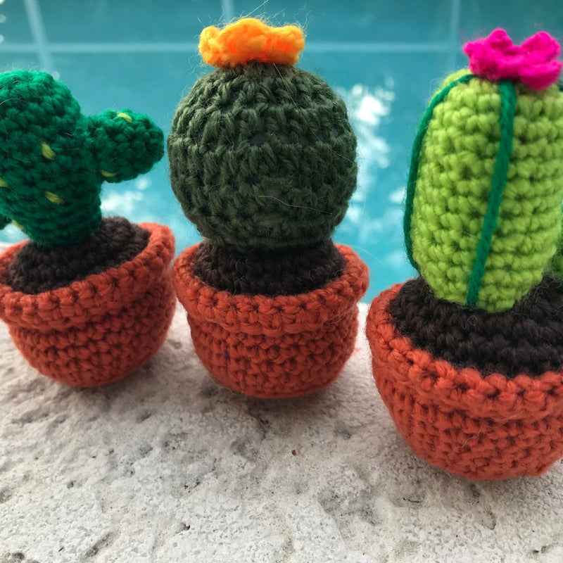 Colorful Cacti Amigurumi Kit 🎁 Special Bundle Deal