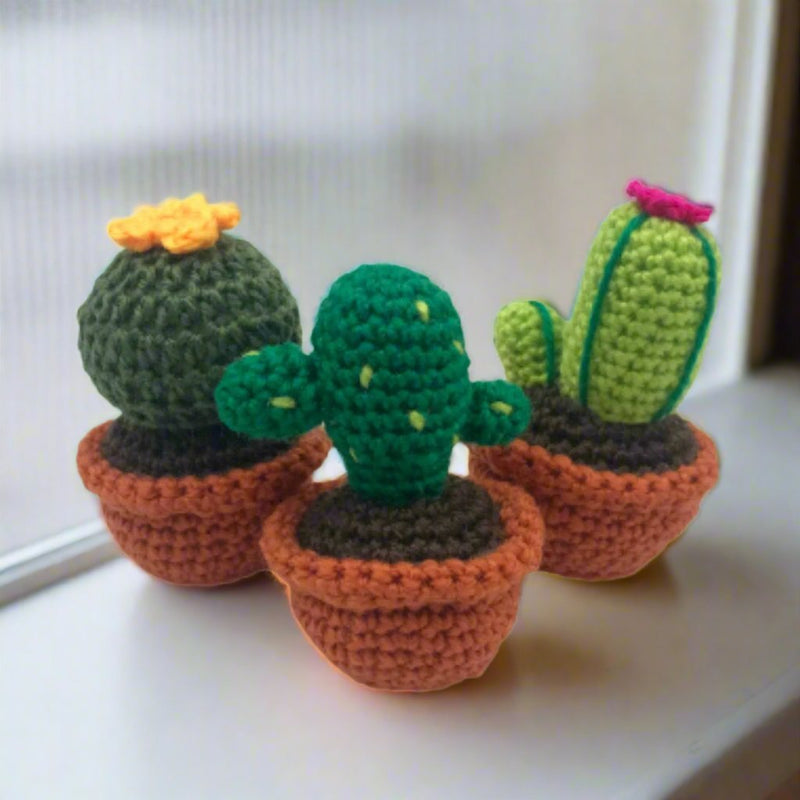 Colorful Cacti Amigurumi Kit 🎁 Special Bundle Deal