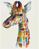 Colorful Giraffe