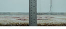 Colorful Ivory, Olive and Brown 8x10 Floral Design Hand Tufted wool Rug