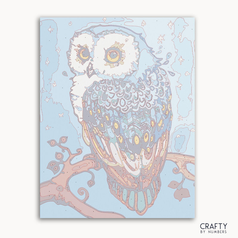Colorful Owl