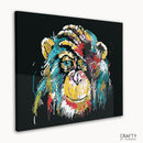 Colorful Monkey