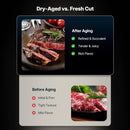 Commercial 12.5 Cu.Ft Dry Aging Fridge For Steaks, Beef, Lamb, And Ham (SAK63584)